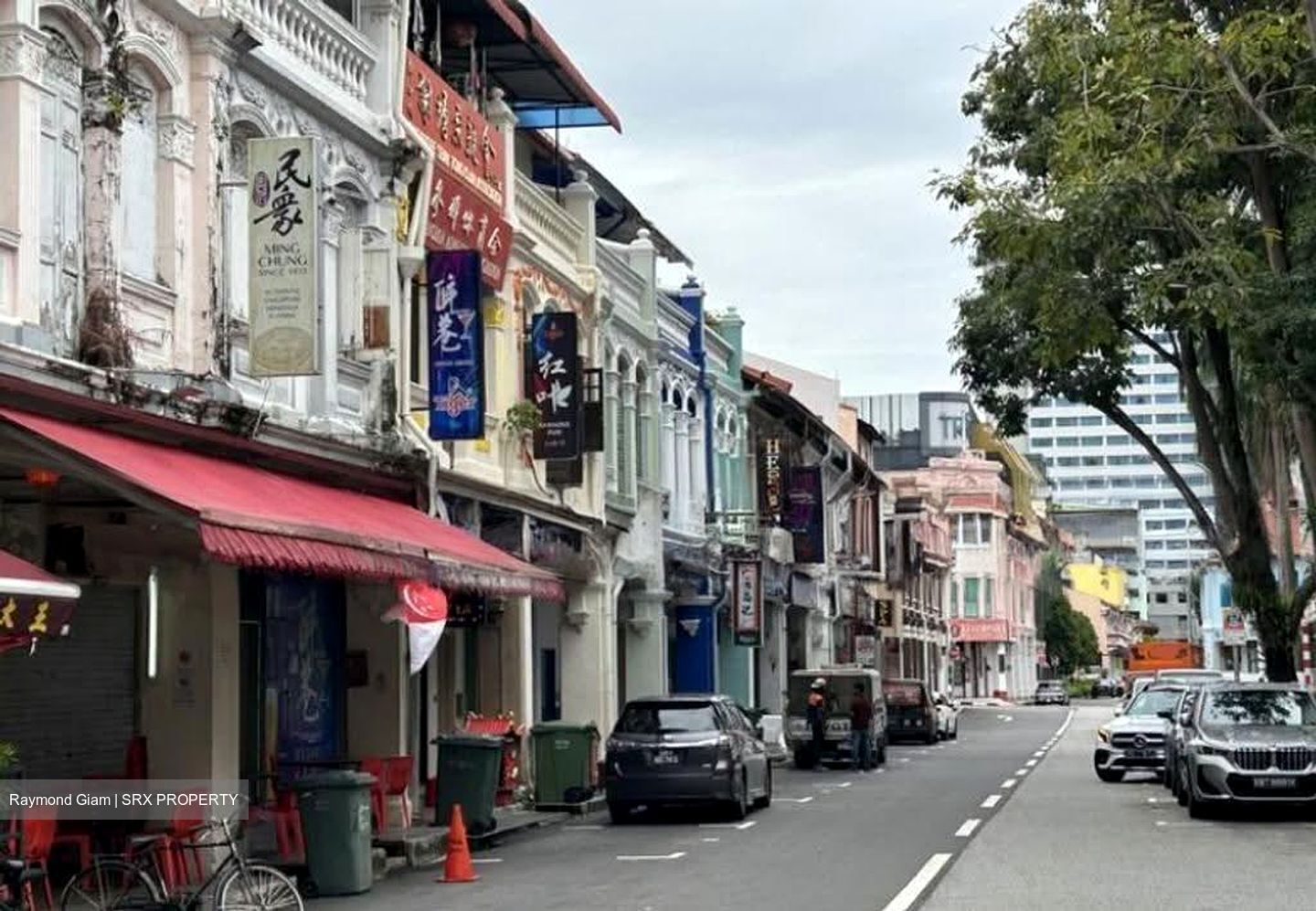 Sim Lim Tower (D8), Shop House #613033861